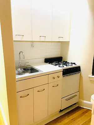 Rented by Manhattan Flats | media 18