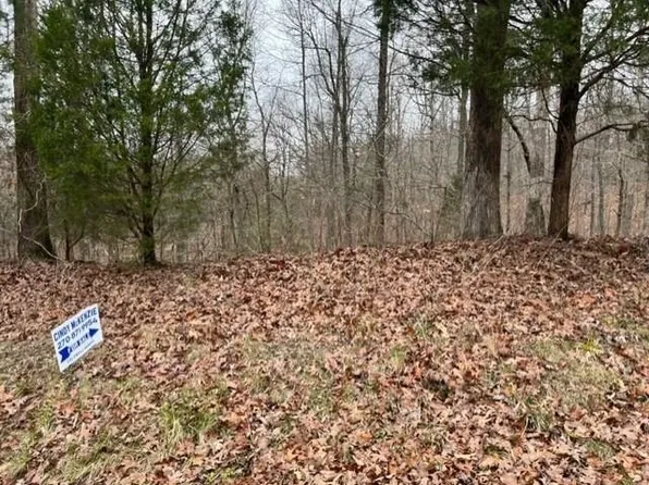 928-1068 Red Oak School Rd, Nebo, KY 42441