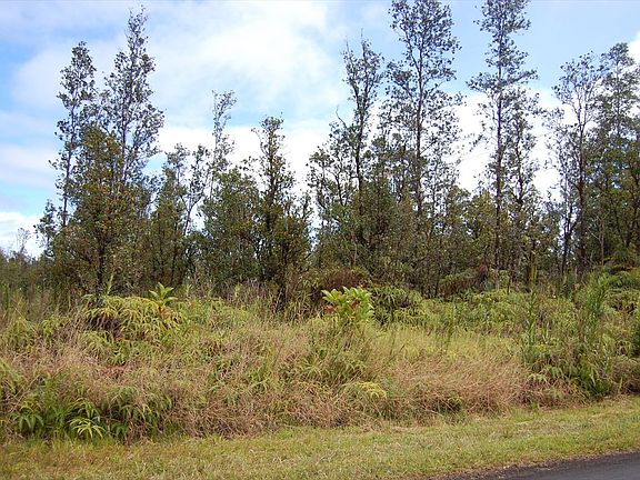 2nd image of 11-2916 Pikake #7849