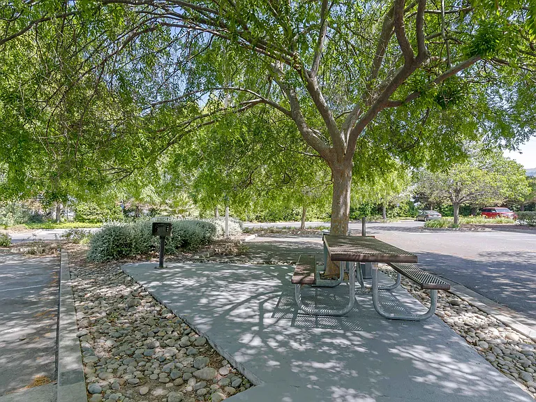 Picnic Area
