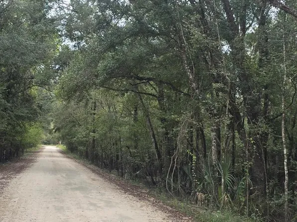 3190 NW 70th Way, Bell, FL 32619