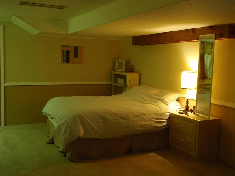 Basement Bedroom (furnished view)