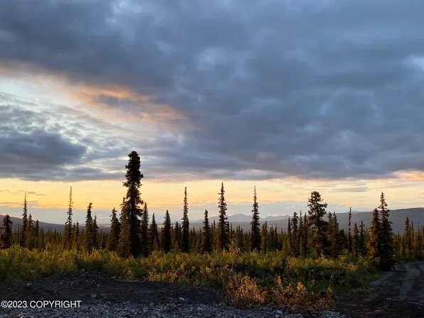 L1-B4 S Timberwolf Rd, Sutton, AK 99674