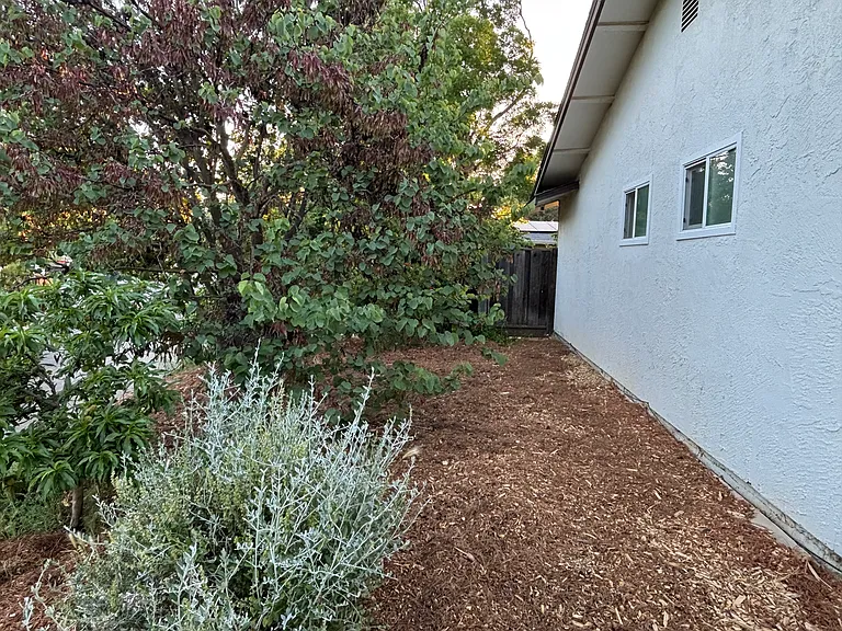 1105 Cabot St — Photo 4