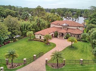 17311 Solie Rd, Odessa, FL 33556