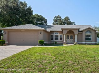 11162 Maderia St, Spring Hill, FL 34609