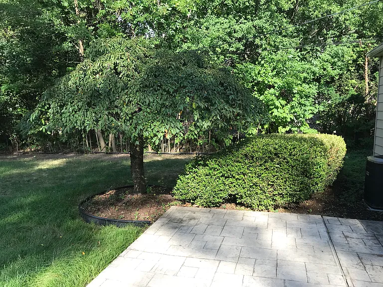 1653 E Maple Rd — Photo 8