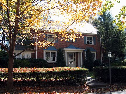 Autumn View