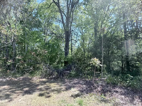 1706 Wind Sound Way Lot 80, Siler City, NC 27344