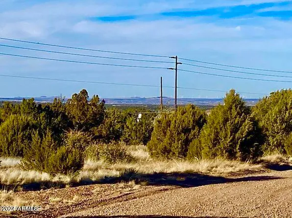 1770 Silver Lake Blvd Boulevard #-, Show Low, AZ 85901