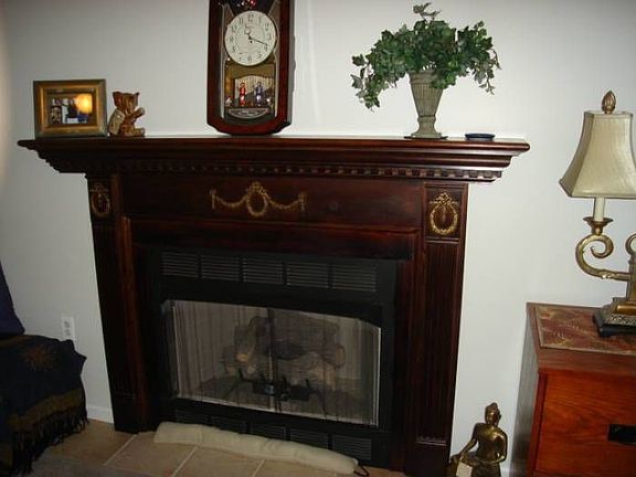 Fireplace in LR