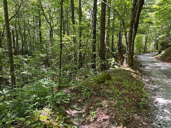 2nd image of 104 Tear Drop Ln
