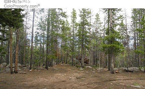 3rd image of 2445 Shoshoni Dr