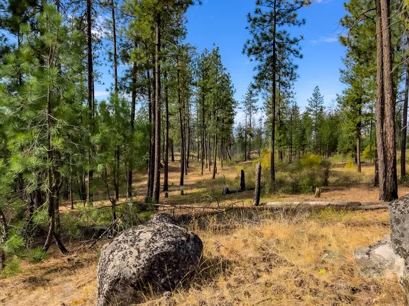 Tbd Coyote Canyon Rd, Fruitland, WA 99129