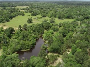 1314 Bostik Rd, Cat Spring, TX 78933