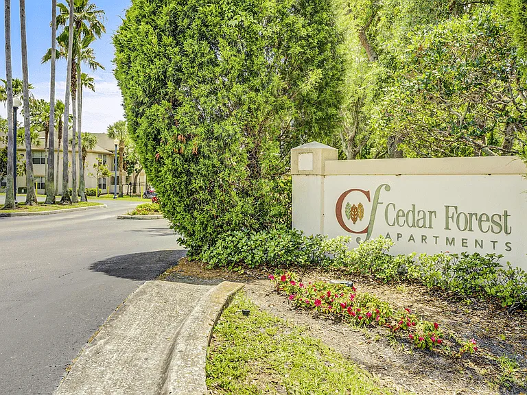 Cedar Forest Apartments — Photo 10