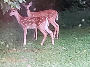 Brewer Rd, Irwinton, GA 31042