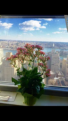 Sold by Chapin Group East | media 30