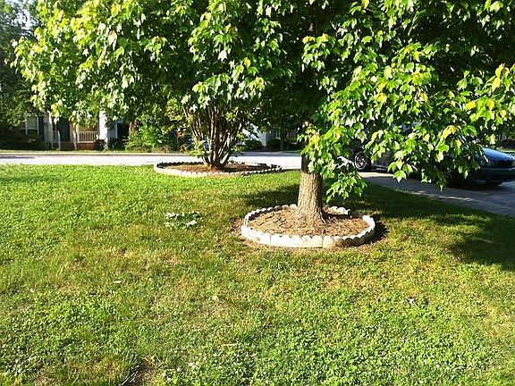 Front yard