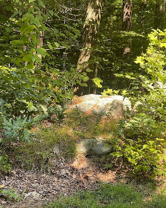 2nd image of 0 Rockrimmon St