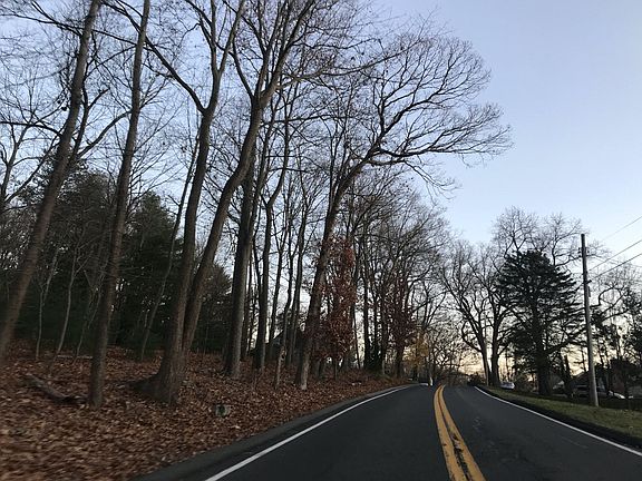 5th image of 54 Greenwood Dr