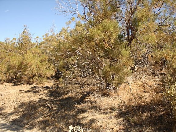 5th image of 0 Howard Rd Lot 4