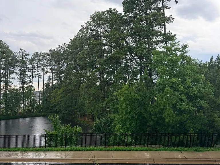 419 Carolina Springs Blvd — Photo 2