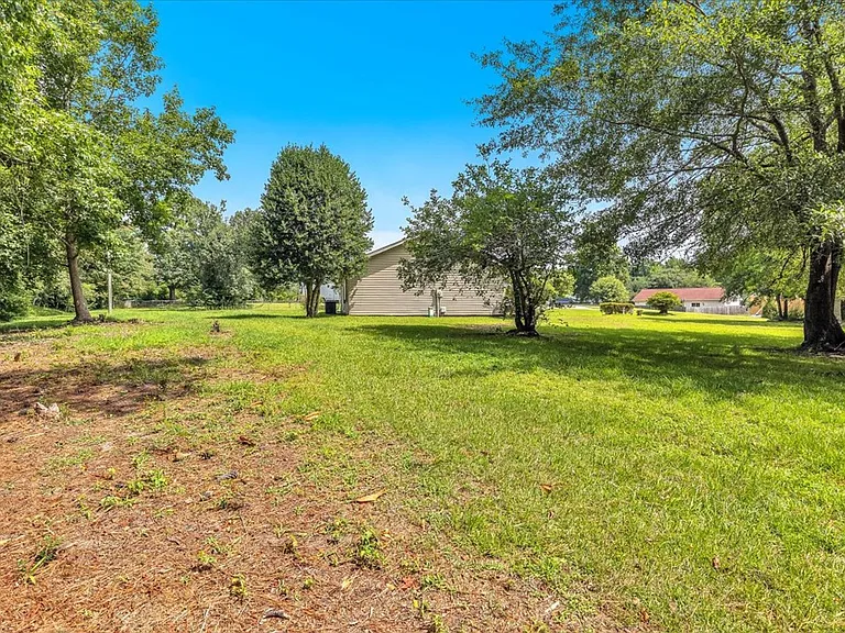 1019 Blue Leaf Pl — Photo 39