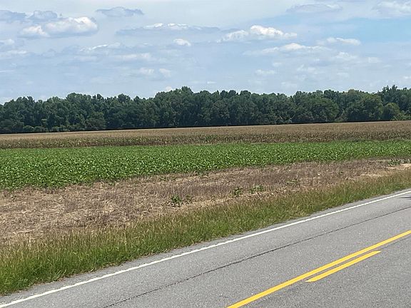 4th image of 4177 Highway 38