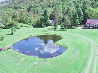 2260 E Handsome Brook Rd, Franklin, NY 13775