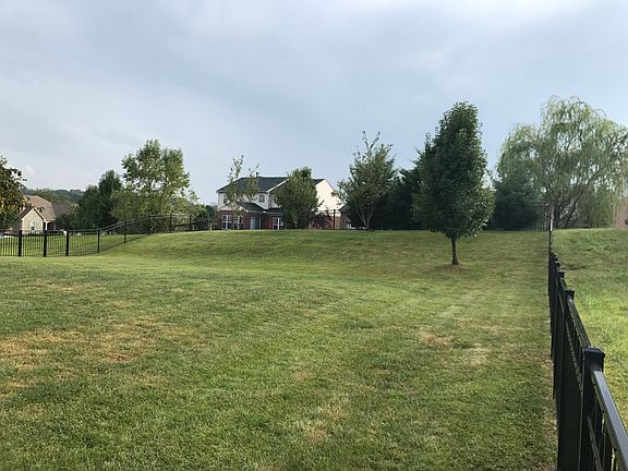Backyard 2