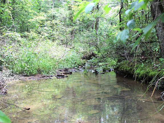 2nd image of 623 Batesville Mountain Rd