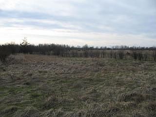 2nd image of 214 County Route 75
