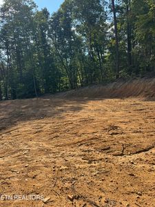 LOT 4A Texas Hollow Rd, Luttrell, TN, 37779