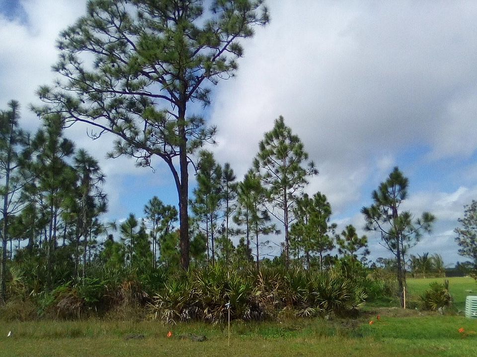 1st image of 7836 Saddlebrook Drive