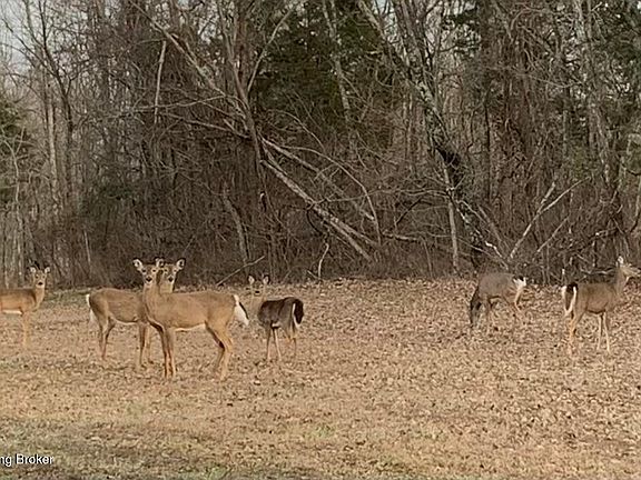 4th image of 2325 Patton Creek Rd
