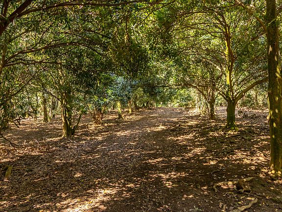 5th image of 96-2865 Wood Valley Rd Lot 7