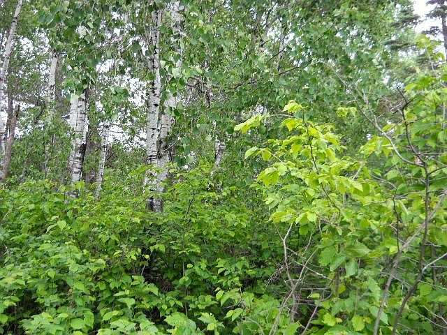 1st image of 0 (Lot 3) Highline Road