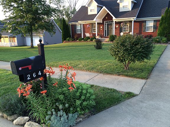 Front yard landscaping