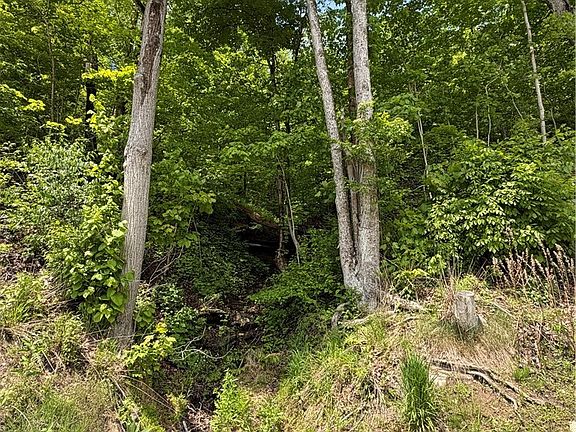 4th image of Harrietsville Sr 145 Rd