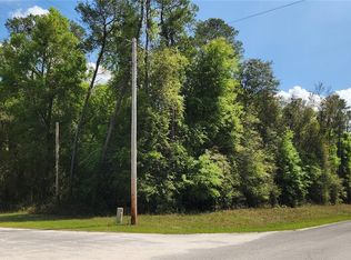 NE 110th Ave LOT 10, Fort Mc Coy, FL 32134