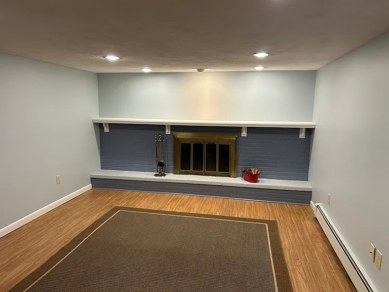 Downstairs finished family room