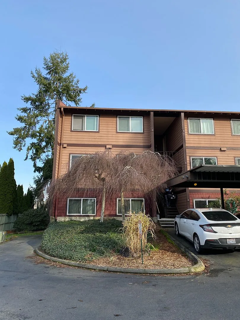 Burien 2 bedroom 1 bath light and bright interior available 11/1 — Photo 3