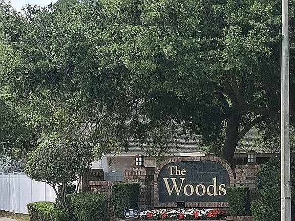 Welcome to The Woods
