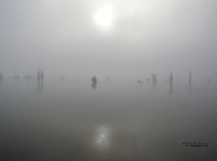 13 E Ridge Rd, Mayflower, AR 72106