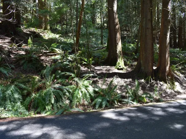 22 Granite Cir, Bellingham, WA 98229
