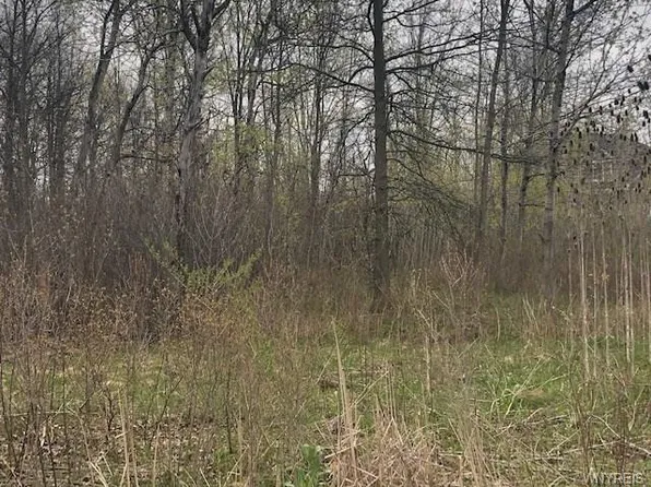 2062 Love Rd, Grand Island, NY 14072