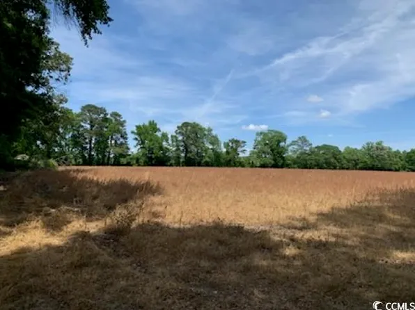 TBD Near 1195 Cedar Grove Church Rd, Cerro Gordo, NC 28430