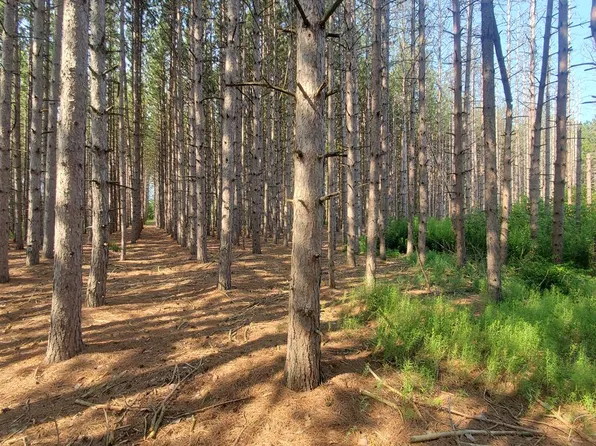 Jack Pine Rd, Sturgeon Bay, WI 54235