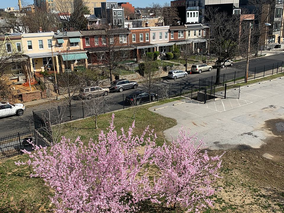 View from the roof top deck 